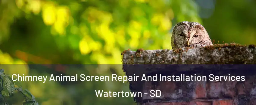  Chimney Animal Screen Repair And Installation Services Watertown - SD