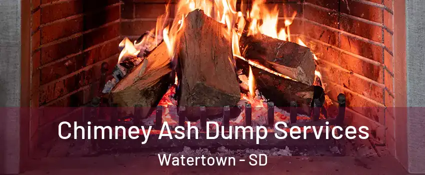  Chimney Ash Dump Services Watertown - SD