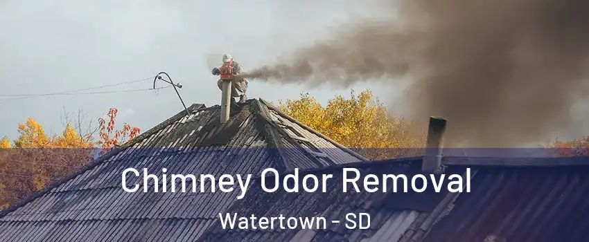  Chimney Odor Removal Watertown - SD