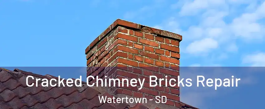  Cracked Chimney Bricks Repair Watertown - SD