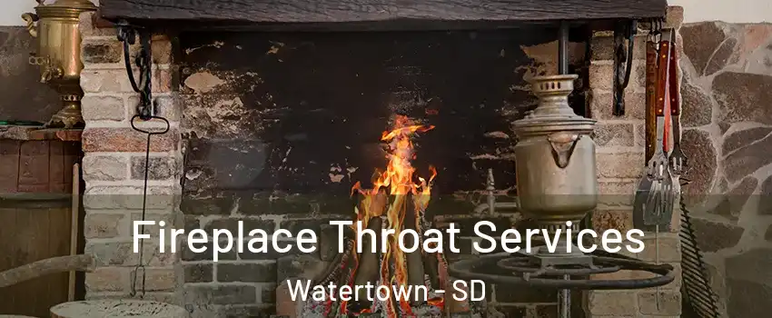  Fireplace Throat Services Watertown - SD