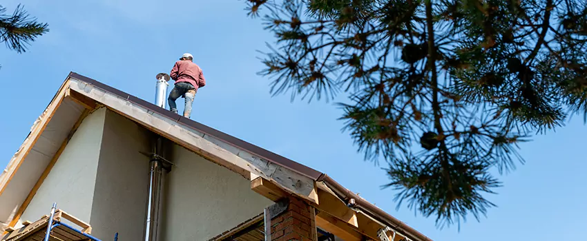 Birds Removal Contractors from Chimney in Watertown, SD