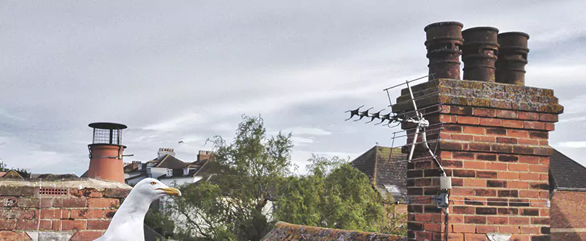 Chimney Cleaning And Restoration in Watertown, South Dakota