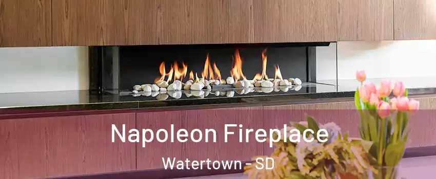  Napoleon Fireplace Watertown - SD