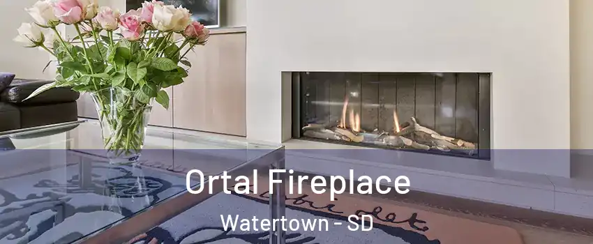 Ortal Fireplace Watertown - SD